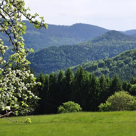 Rammelstein Dom wakacyjny